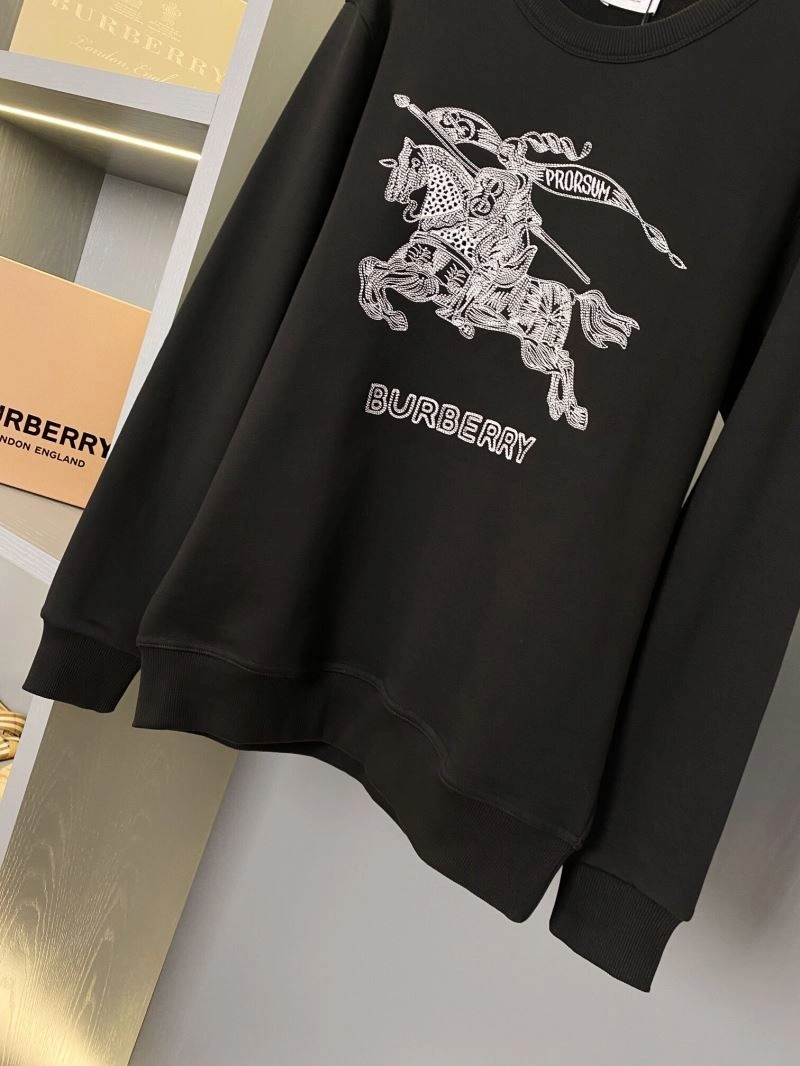 Burberry Hoodies Durable 105724