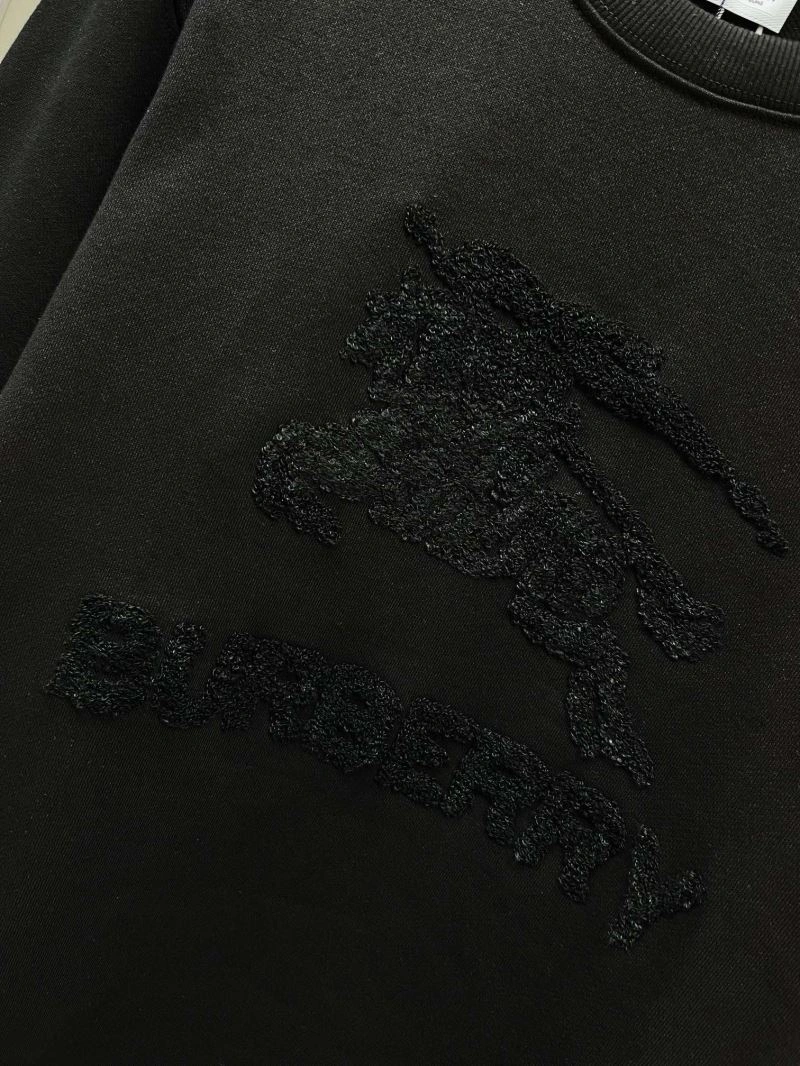 Durable Burberry Hoodies 105720