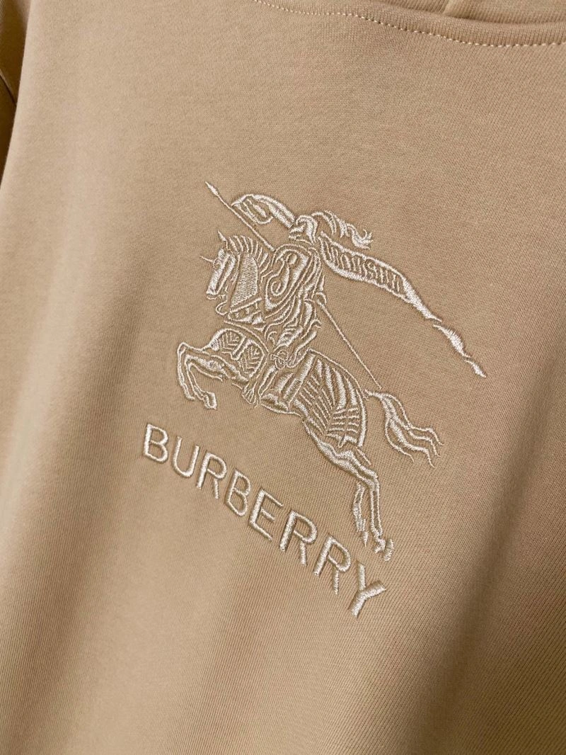 Burberry Hoodies Durable 105696