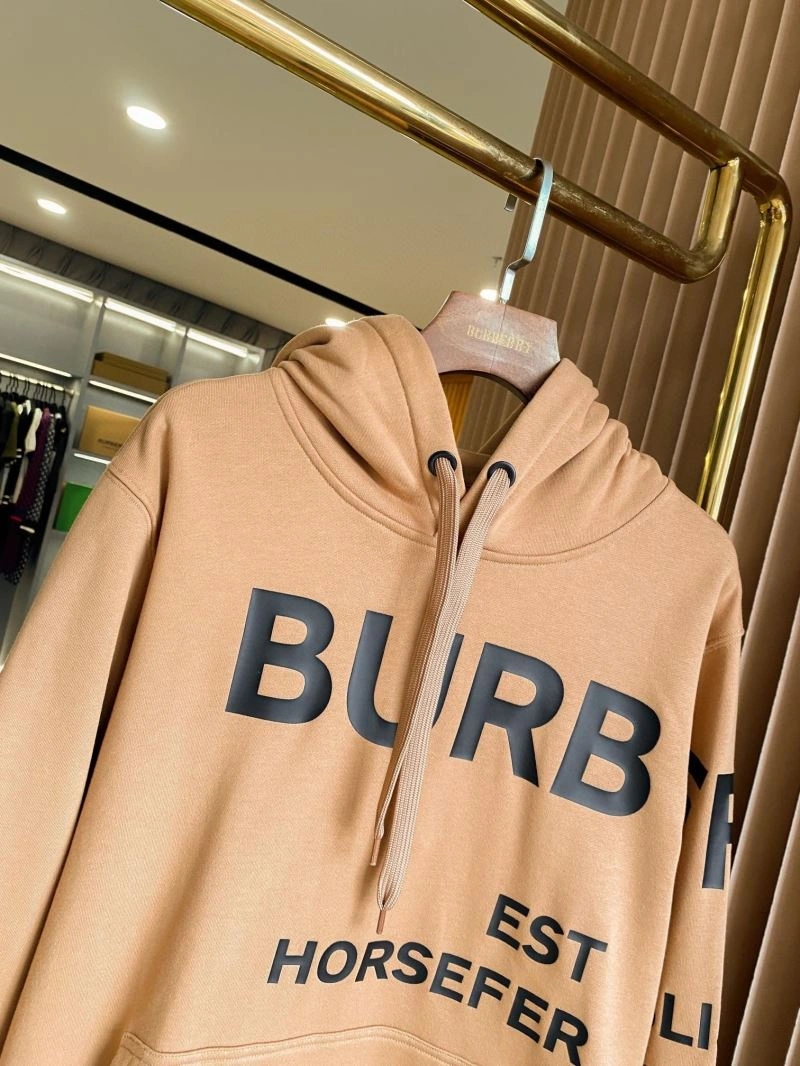 Durable Burberry Hoodies 105728