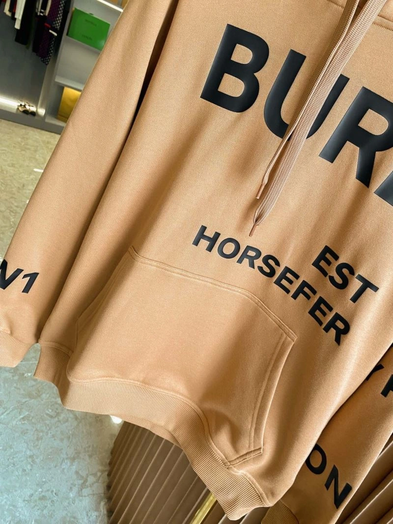 Durable Burberry Hoodies 105728