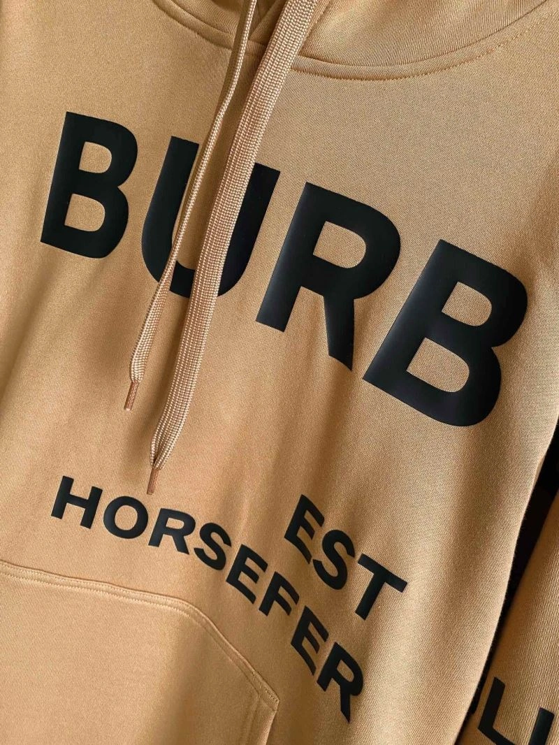 Durable Burberry Hoodies 105728