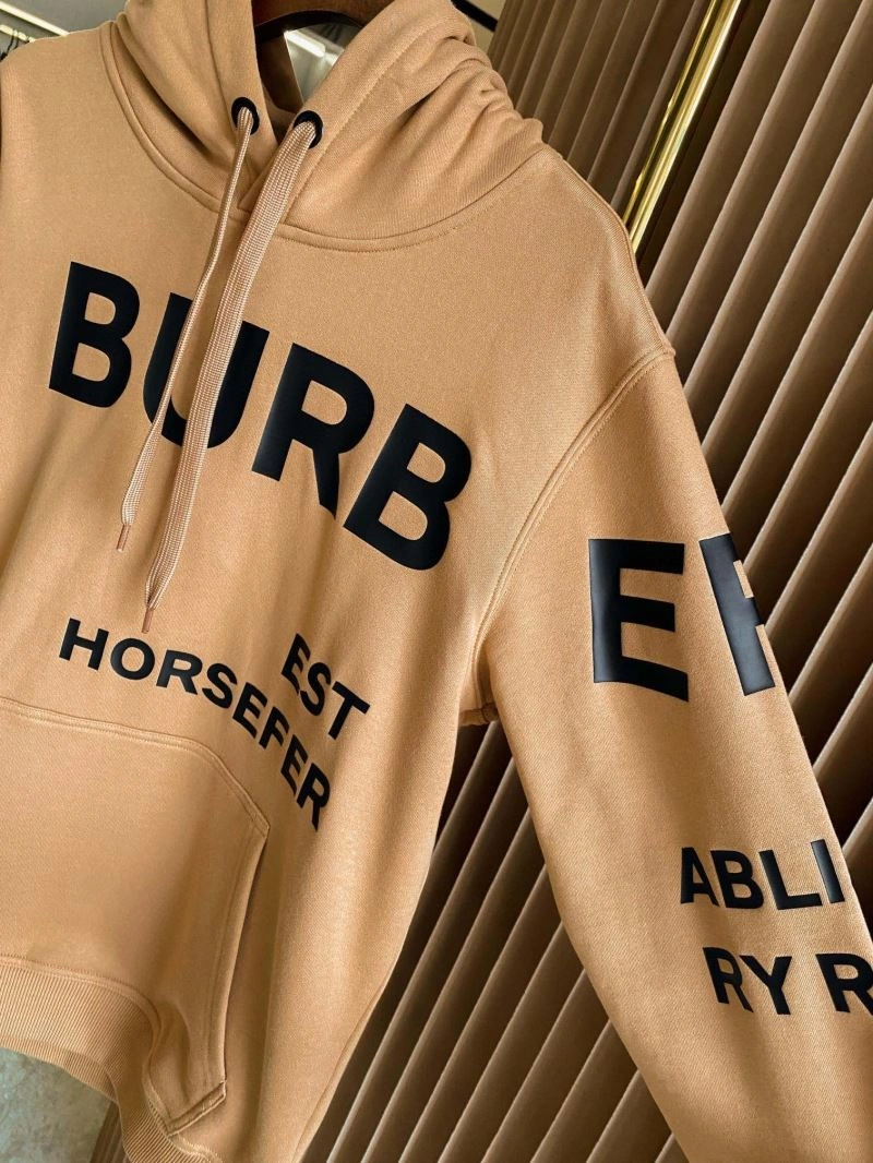 Durable Burberry Hoodies 105728