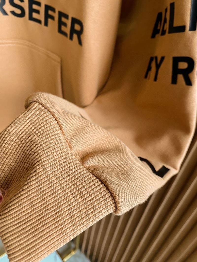 Durable Burberry Hoodies 105728