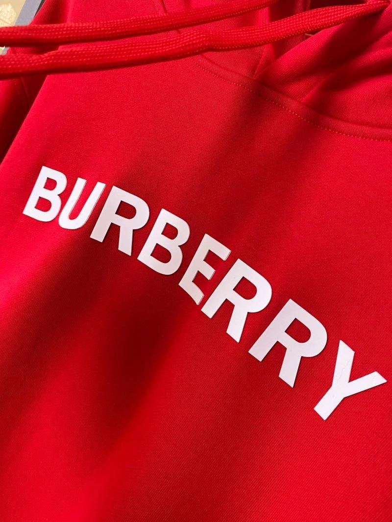 Neat Burberry Hoodies 105651