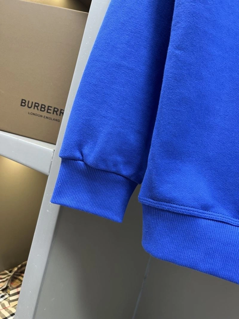 Burberry Hoodies Supportive 105644