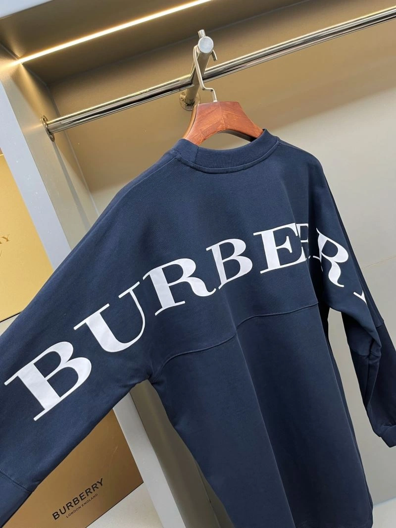 Burberry Hoodies Modern 105629
