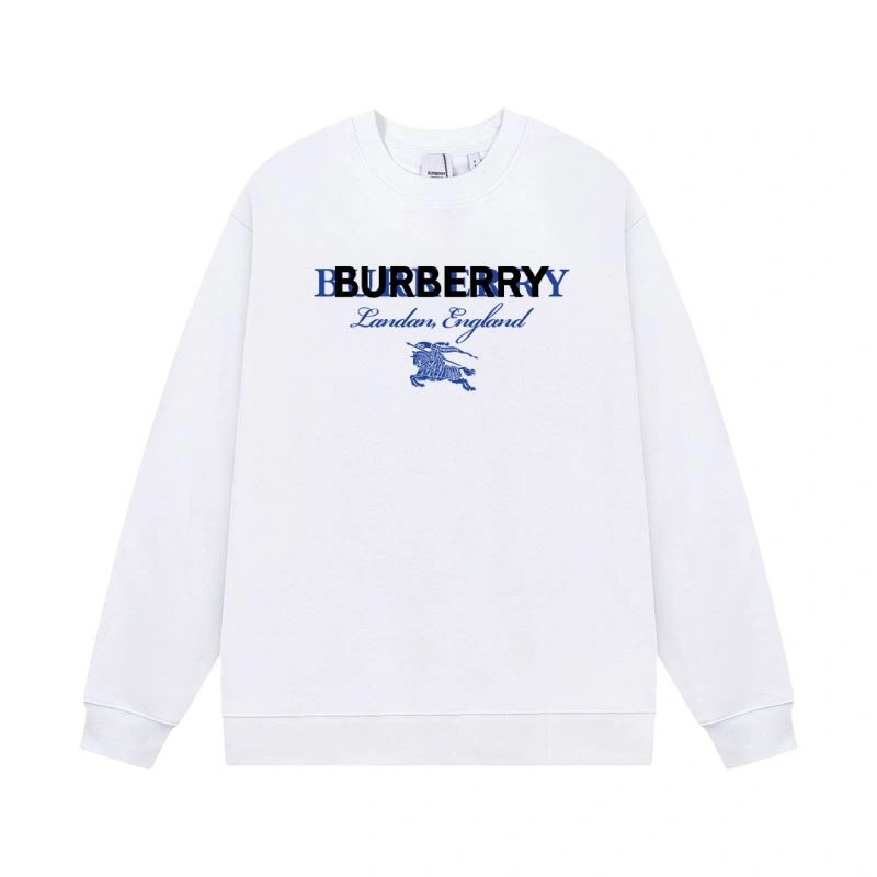 WellDesigned Burberry Hoodies 102858