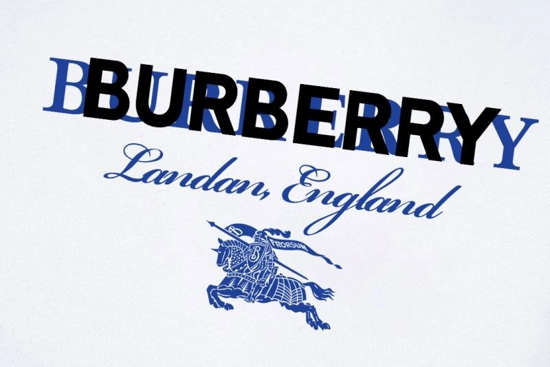 WellDesigned Burberry Hoodies 102858