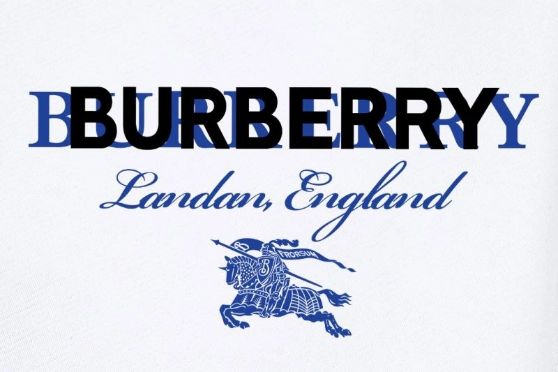 WellDesigned Burberry Hoodies 102858