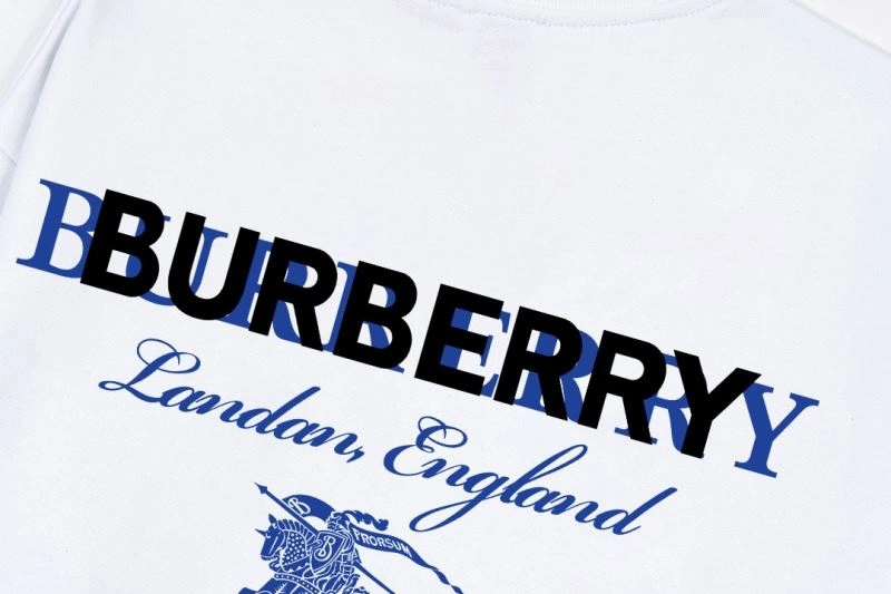WellDesigned Burberry Hoodies 102858
