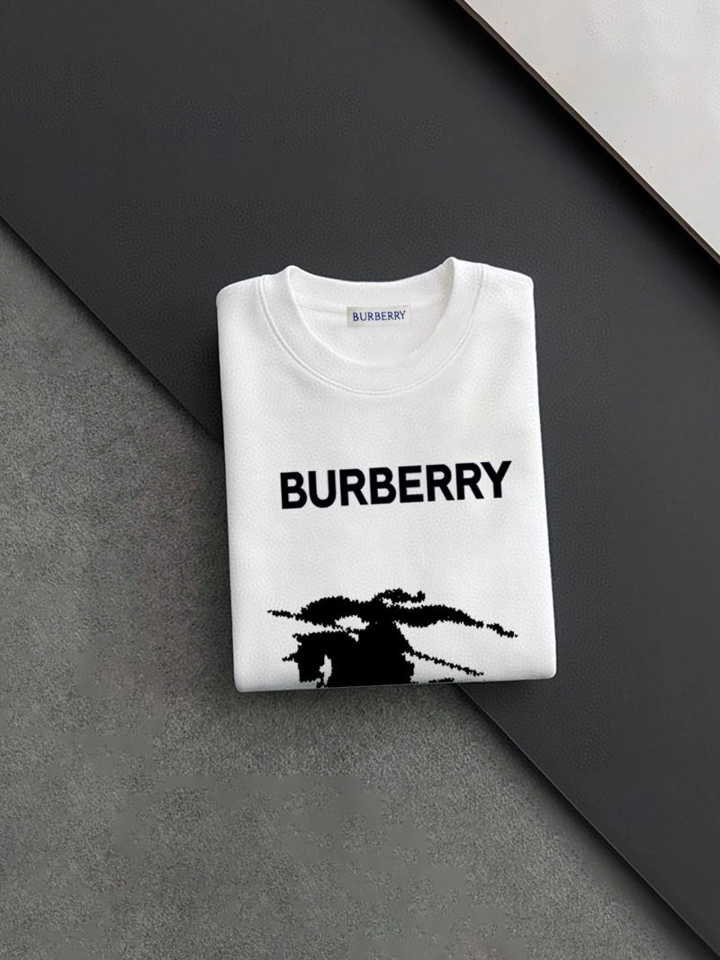 Flexible Burberry Hoodies 102857