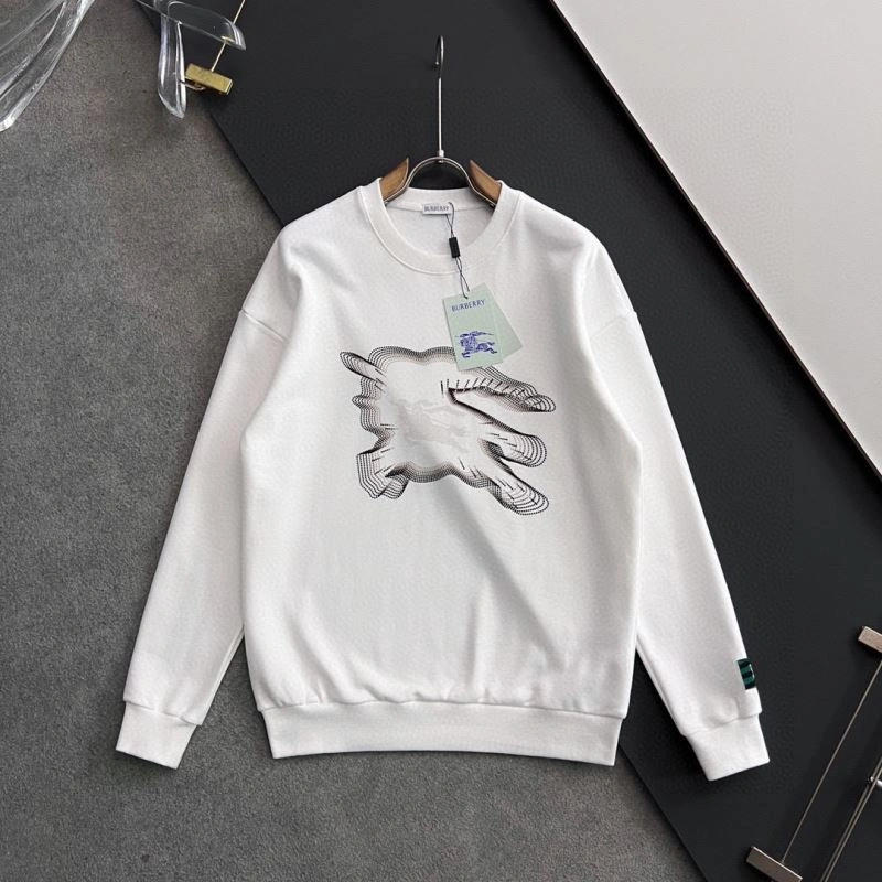 Burberry Hoodies Bold 101802