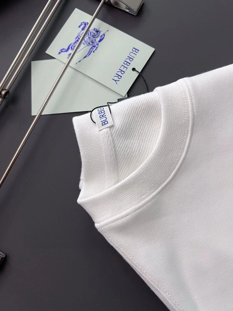 Burberry Hoodies Bold 101802