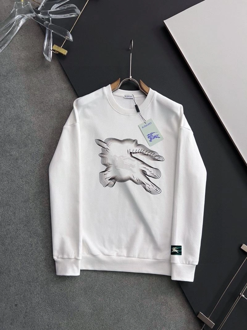 Burberry Hoodies Bold 101802