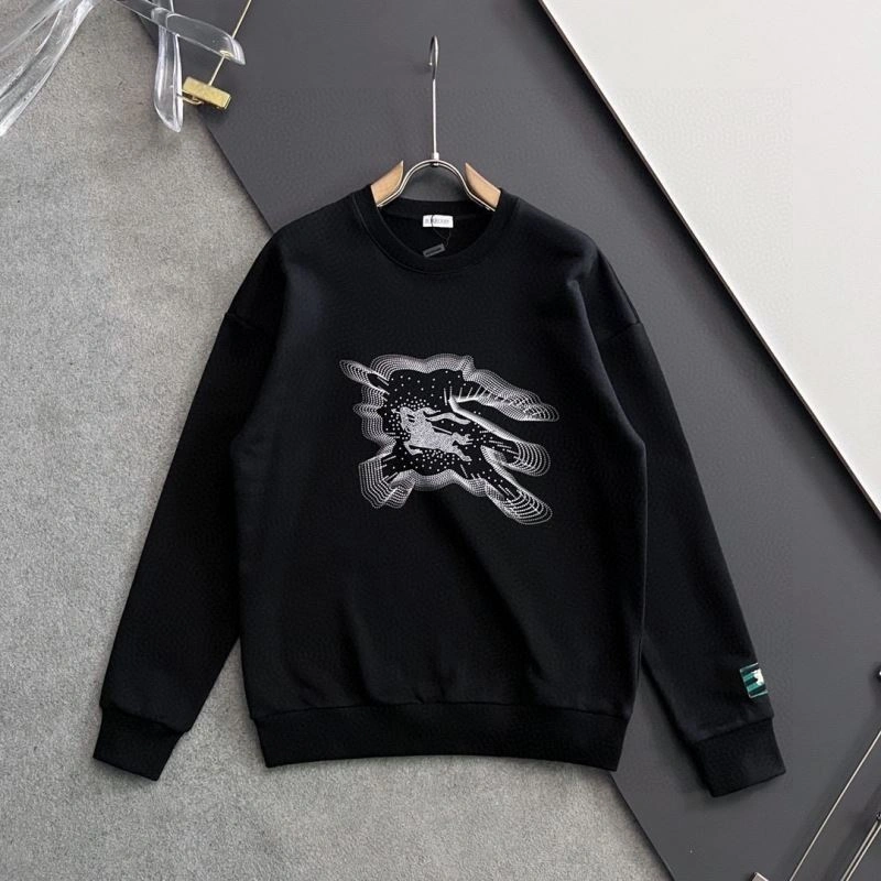 Burberry Hoodies WrinkleFree 101803