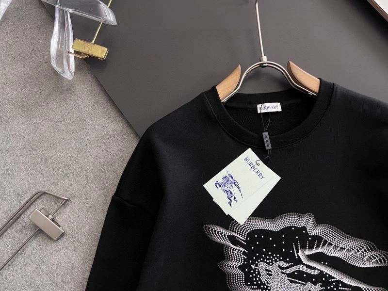 Burberry Hoodies WrinkleFree 101803