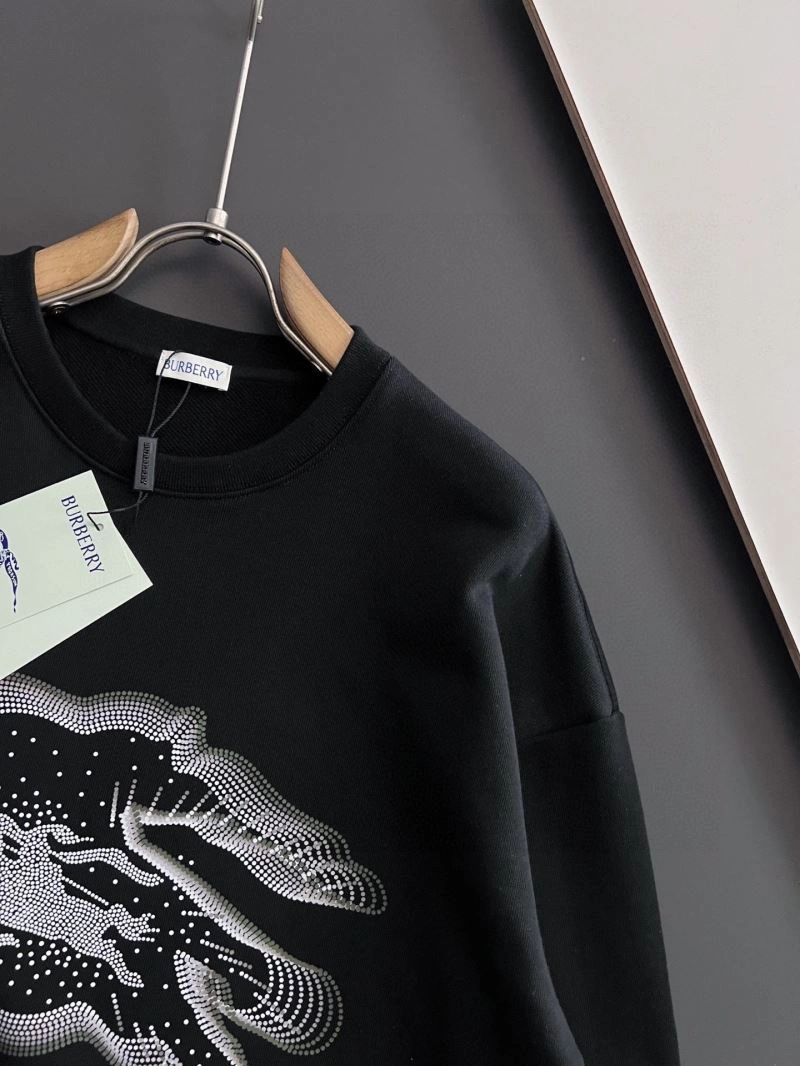 Burberry Hoodies WrinkleFree 101803