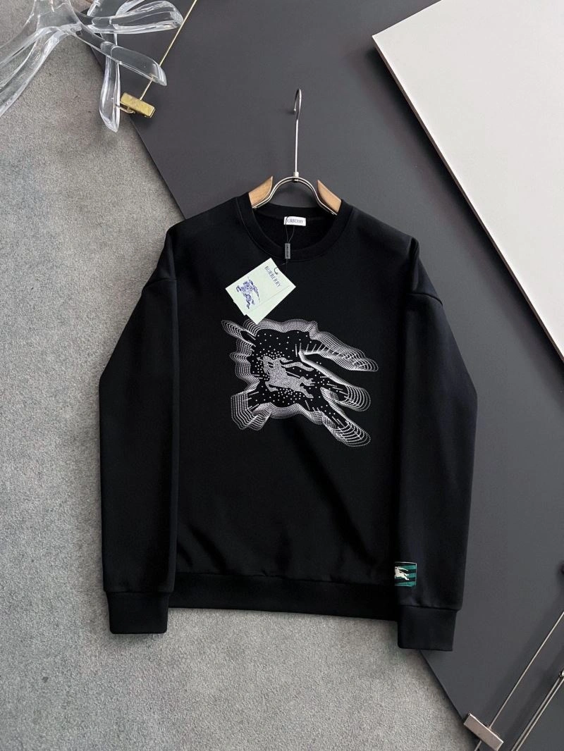 Burberry Hoodies WrinkleFree 101803