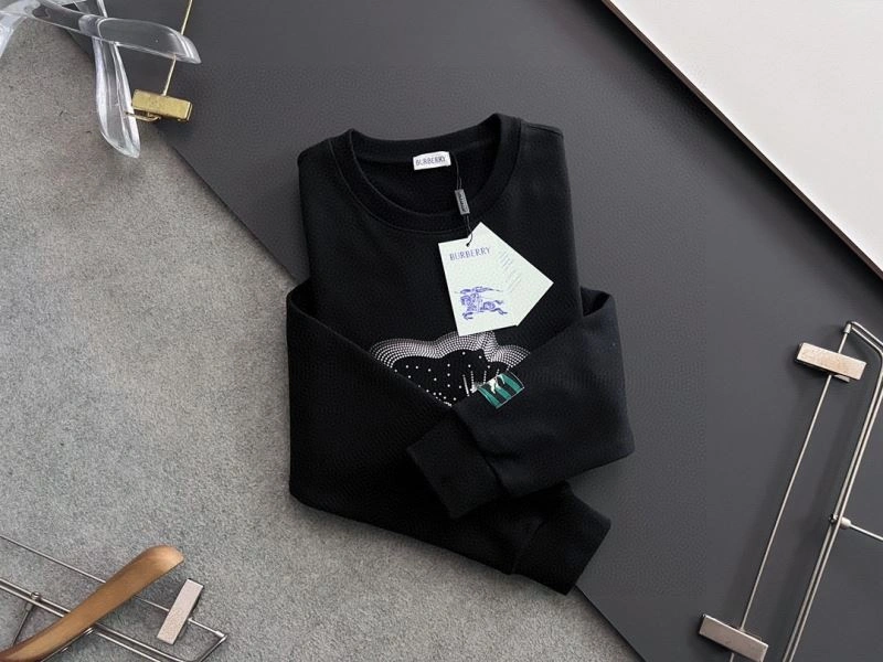 Burberry Hoodies WrinkleFree 101803