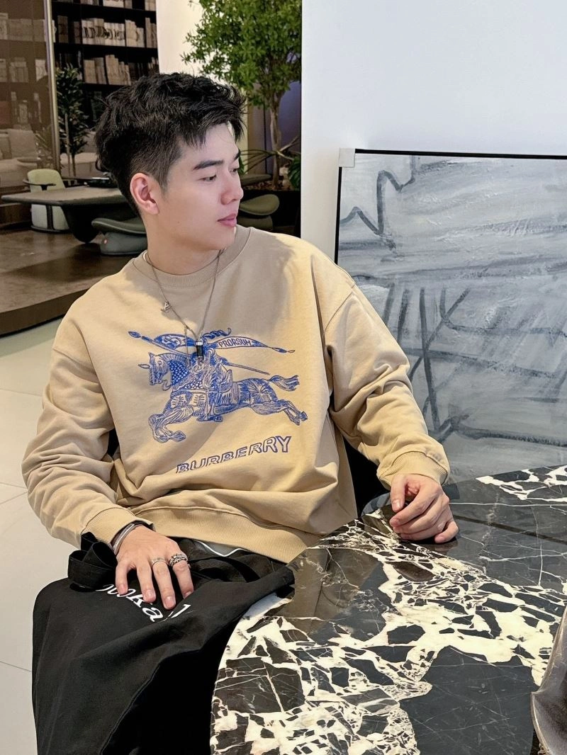 Burberry Hoodies Sustainable 100824