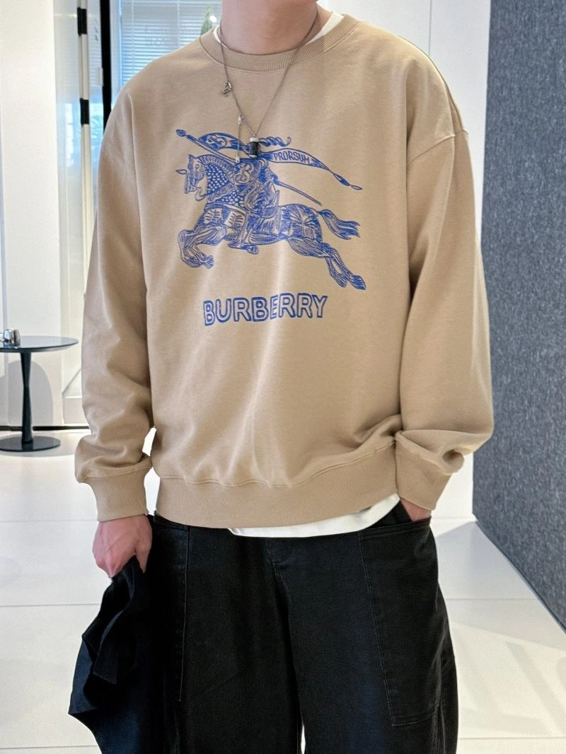 Burberry Hoodies Sustainable 100824