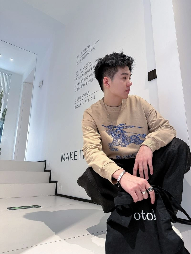 Burberry Hoodies Sustainable 100824