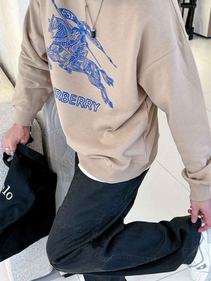 Burberry Hoodies Sustainable 100824
