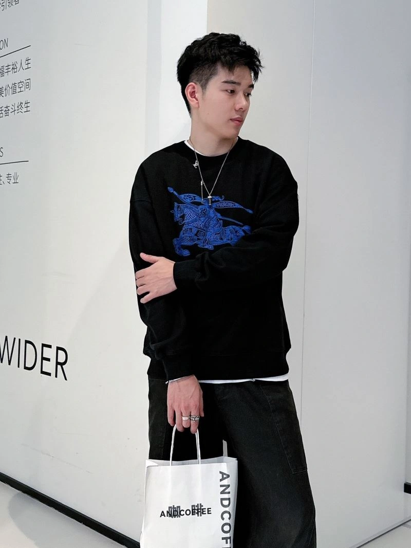 Affordable Burberry Hoodies 100823