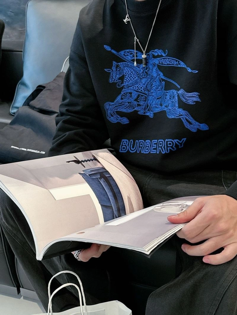 Affordable Burberry Hoodies 100823