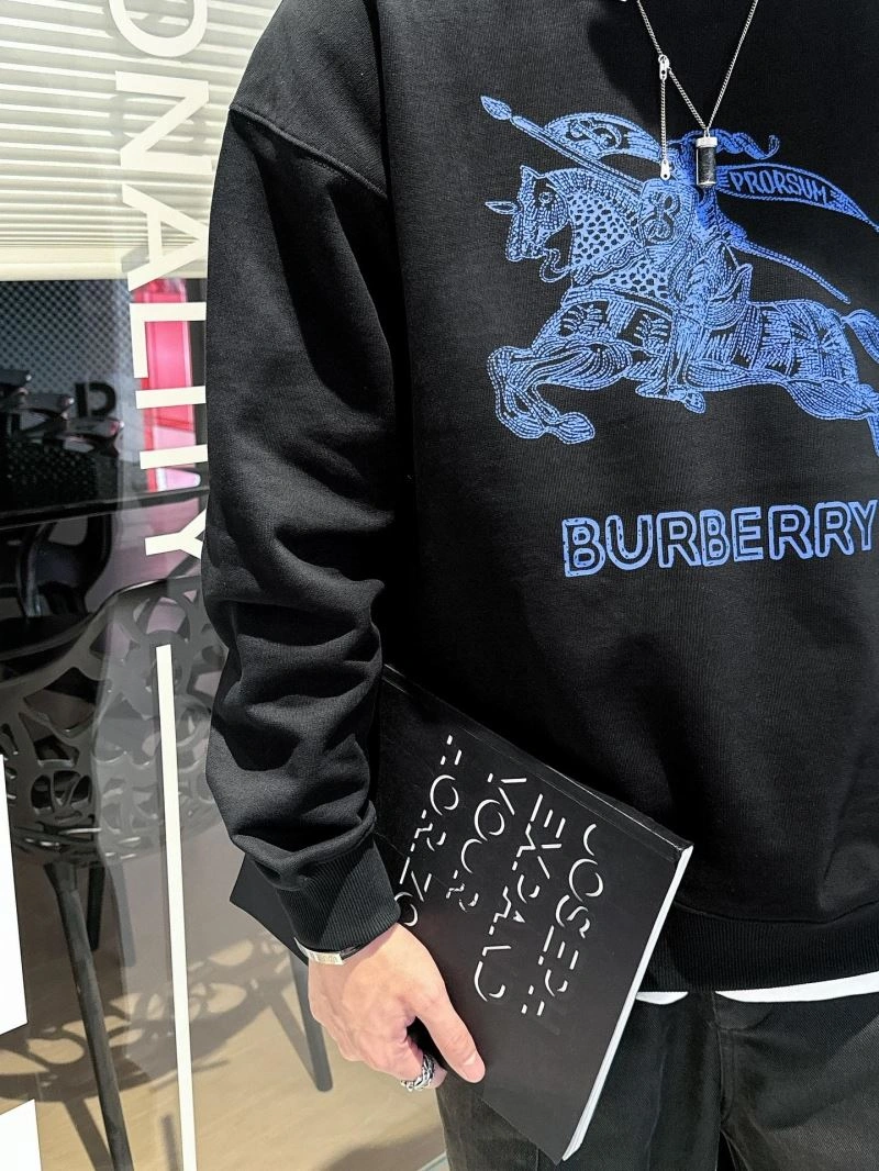Affordable Burberry Hoodies 100823