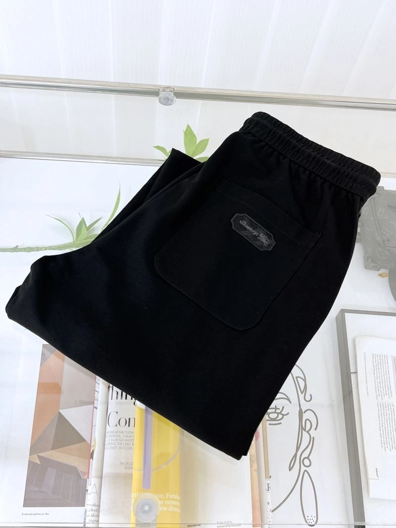 Functional Burberry Long Pants 101760