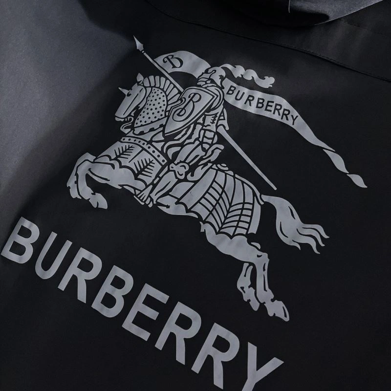 Premium Burberry Outwear 102694