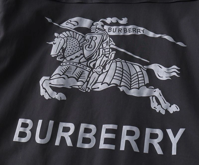 Premium Burberry Outwear 102154