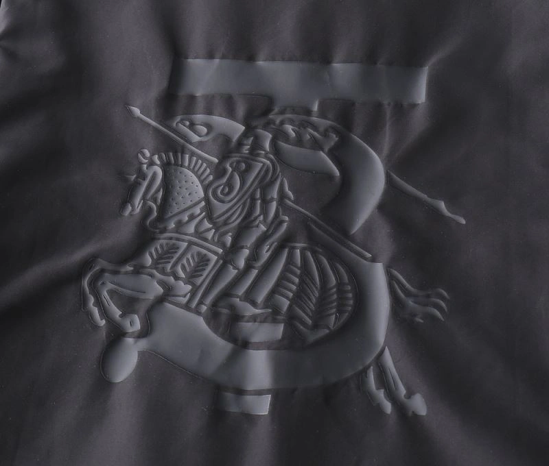 Unique Burberry Outwear 102244