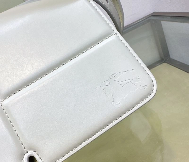 Stylish Burberry Satchel Bags 64587