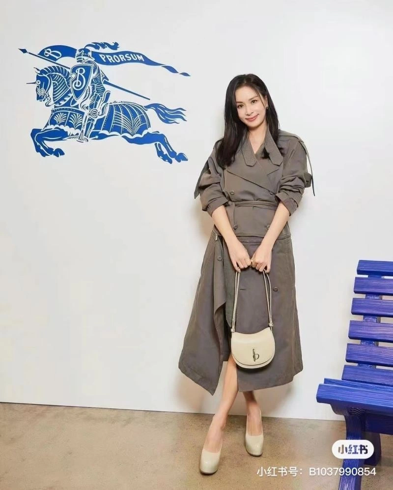 Burberry Satchel Bags MultiPurpose 64555