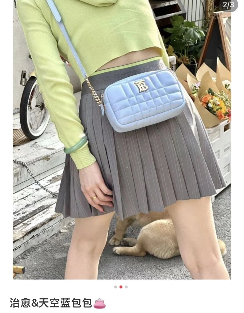 Seasonal Burberry Satchel Bags 64541
