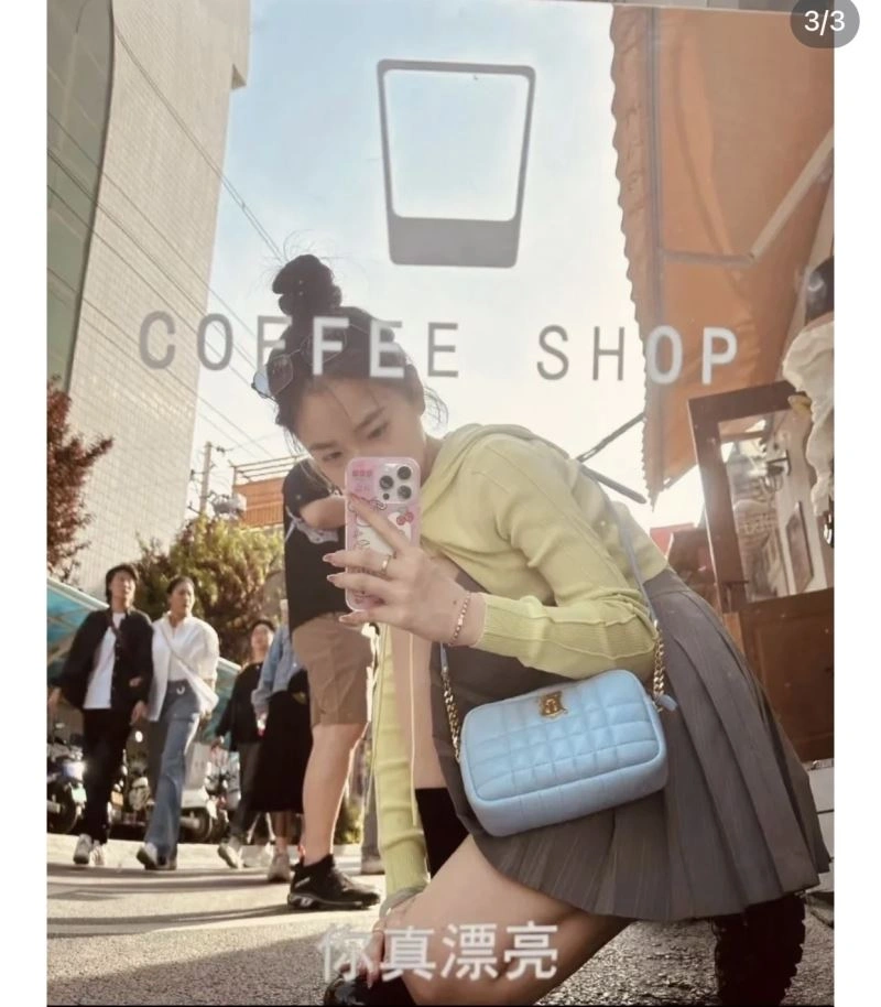 Seasonal Burberry Satchel Bags 64541