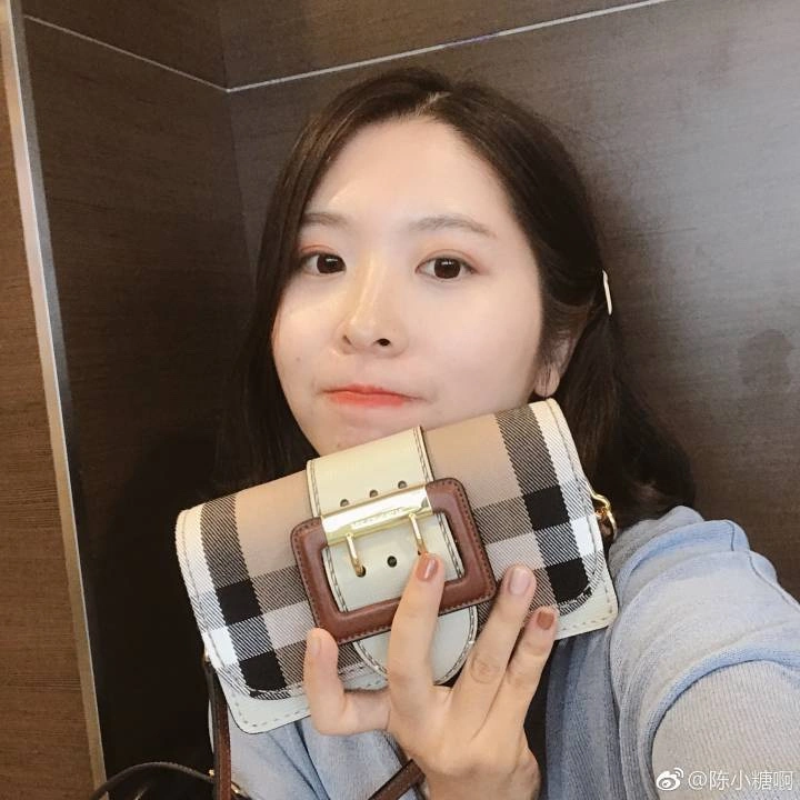 Burberry Satchel Bags Affordable 64568