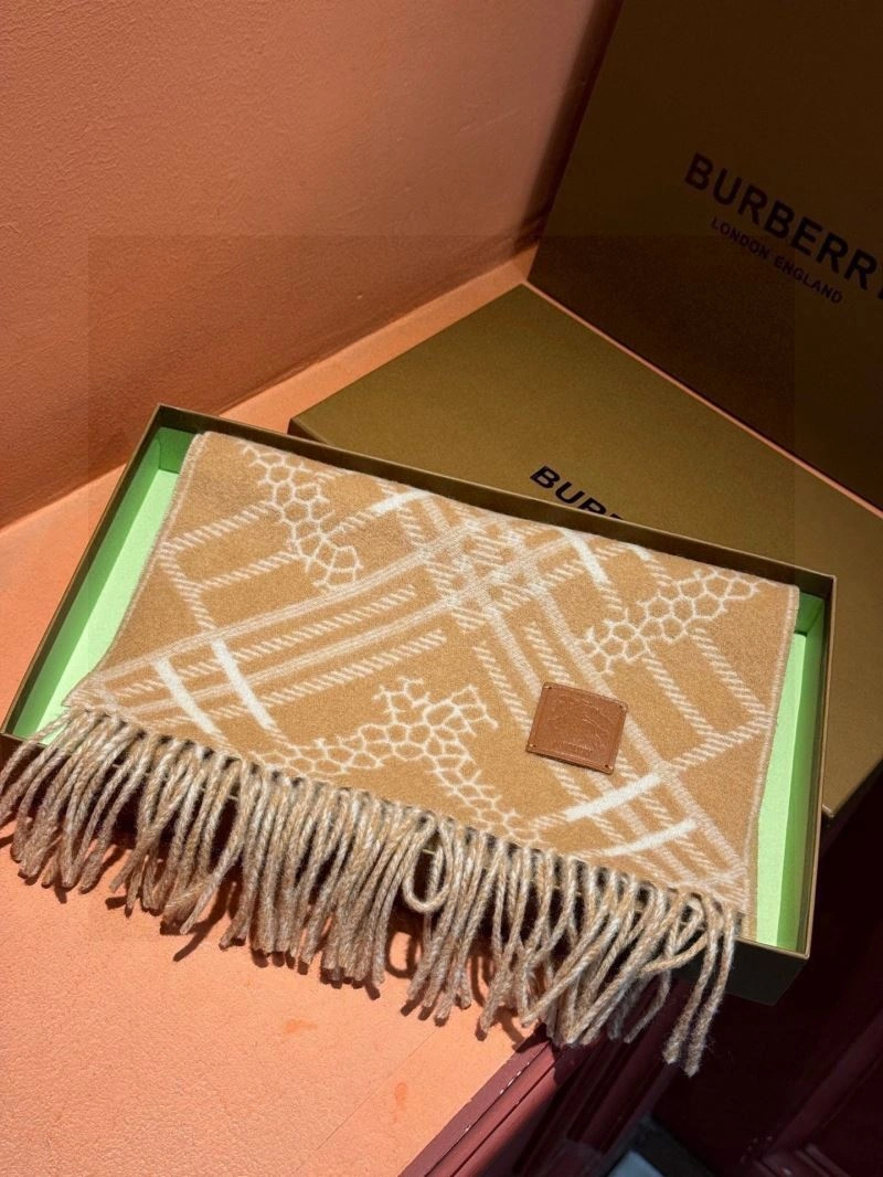 Affordable Burberry Scarf 271372