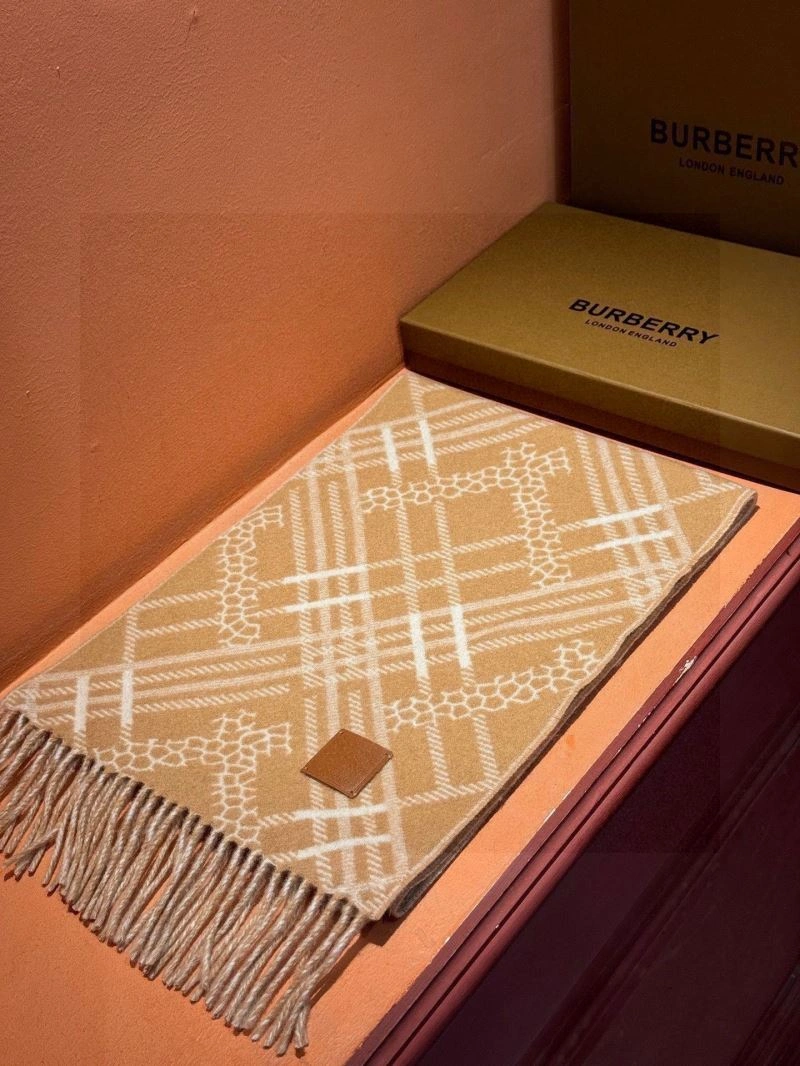 Affordable Burberry Scarf 271372