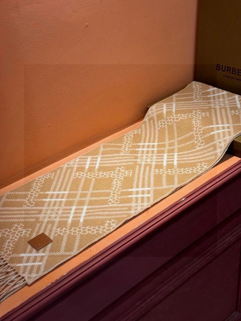 Affordable Burberry Scarf 271372