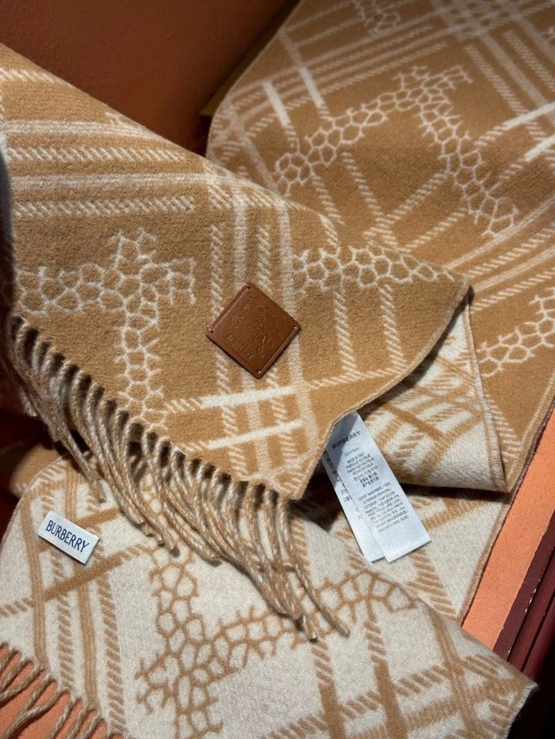 Affordable Burberry Scarf 271372