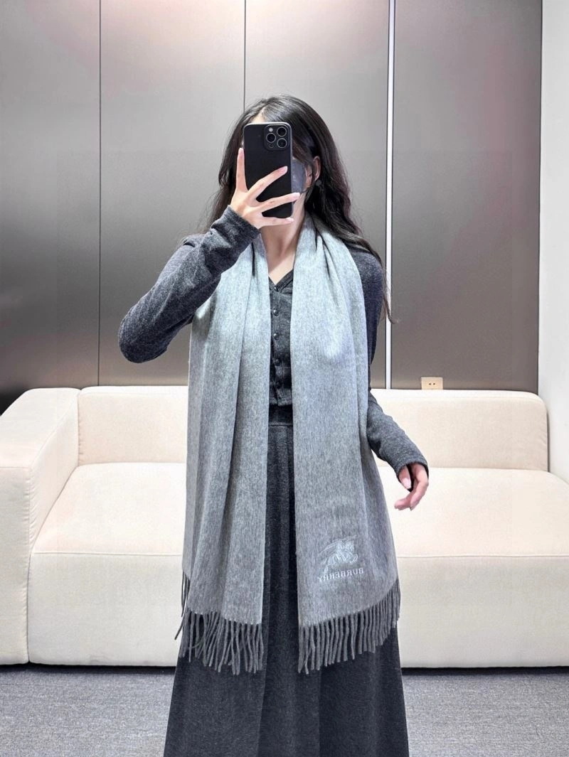 GoAnywhere Burberry Scarf 271369