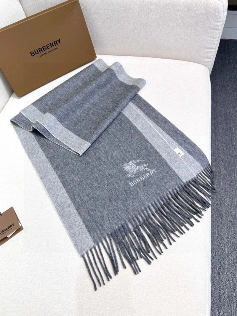 GoAnywhere Burberry Scarf 271369