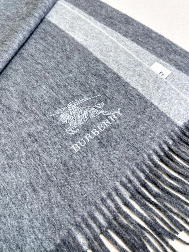 GoAnywhere Burberry Scarf 271369