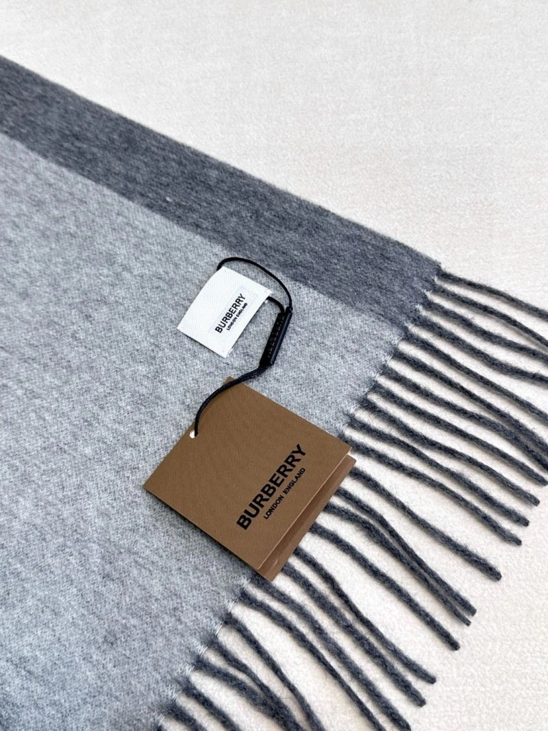 GoAnywhere Burberry Scarf 271369