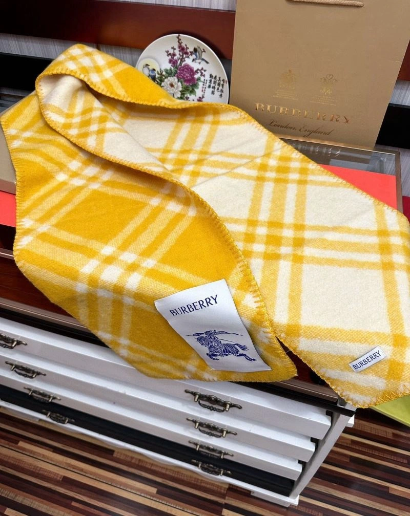 Burberry Scarf UrbanStyle 271337