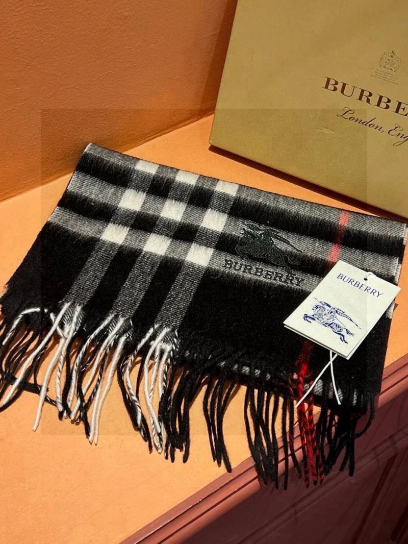 Burberry Scarf Cozy 271348